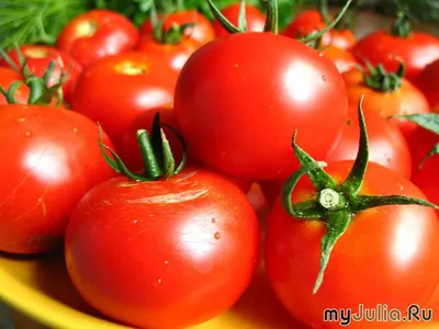 Томат \"Бычье сердце\" Семена для Сибири - «Самый популярный сорт помидоров.  Крупные, сладкие и очень вкусные помидоры с высокой урожайностью. Делюсь  рецептом быстрой, вкусной и полезной помидорной заготовки» | отзывы