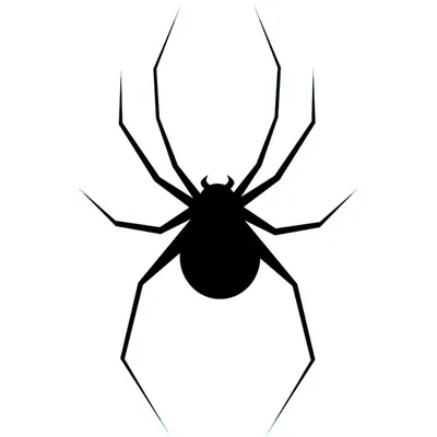 Черно-белый пластичный паук Стоковое Фото - изображение насчитывающей  черный, игрушка: 74112184