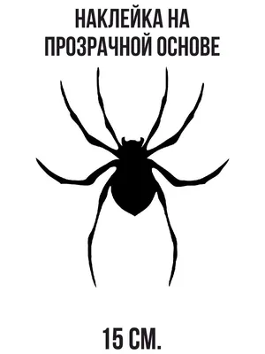 вектор рисования простой линией. паук. черно-белый силуэт рисунка паука.  символ хэллоуина Иллюстрация штока - иллюстрации насчитывающей ангстрома,  черный: 226247843