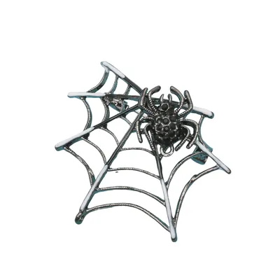 Паутина Южная черная вдова, паук, белый, насекомые, монохромный png |  PNGWing