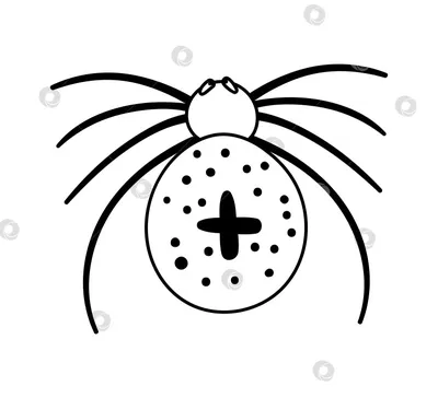 Паук с узором Спикер Zentangle Черно-белое изображение насекомого с  украшениями Стилизованный паук Татуировка Иллюстрация вектора - иллюстрации  насчитывающей черный, элемент: 159234127