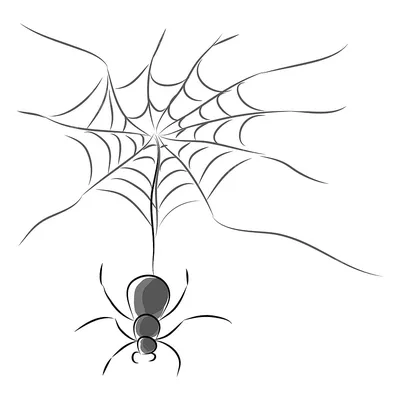 тату эскиз партак чёрно-белая картинка паук нарко | Тату паука, Тату, Идеи  для татуировок