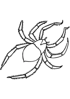 Купить Мягкий страшный плюшевый жуткий паук с дистанционным управлением,  инфракрасный радиоуправляемый тарантул, детская подарочная игрушка | Joom