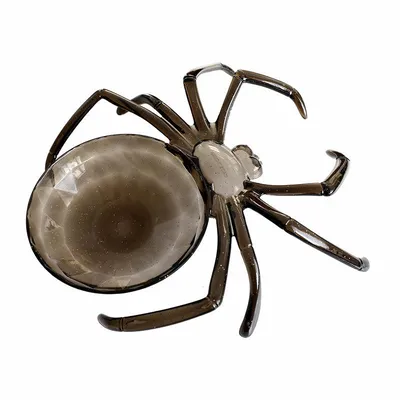 Паук, паутина, насекомые, обои для рабочего стола, паутина png | Klipartz