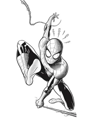 Рисунок карандашом :: Человек-паук (Spider-Man, Дрюжелюбный сосед, Спайди,  Питер Паркер) :: Marvel (Вселенная Марвел) :: рисовал сам :: фэндомы /  картинки, гифки, прикольные комиксы, интересные статьи по теме.