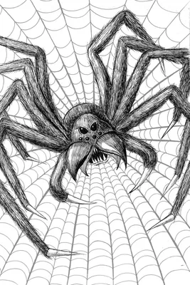 Рисунки пауков карандашом для срисовки - 86 фото
