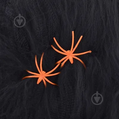изображение паука в паутине в лесу, паутина и паук, Hd фотография фото,  членистоногое фон картинки и Фото для бесплатной загрузки
