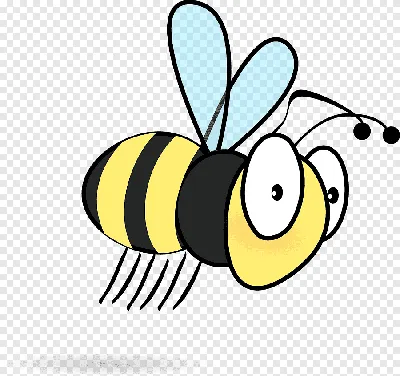 Шмель Западная медоносная пчела Роспись, пчелка, медоносная пчела,  насекомые, детские игрушки png | PNGWing