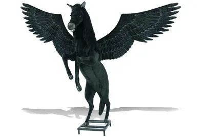 Пегас, Крылатый Конь | Лошади | Дзен