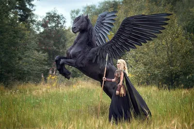 Пегас: важность летающего коня в мифах и не только | Обратная сторона  Истории|Легенды | Дзен