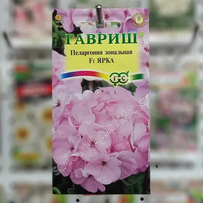 Пеларгония ярка