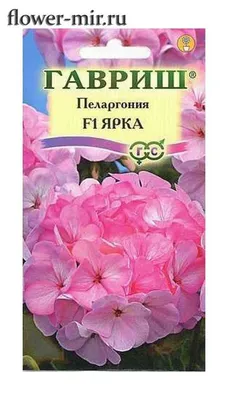 Cumpărați Пеларгония зелёнолистная Ярка F1 5 семян в оболочке la 23 MDL de  la producător