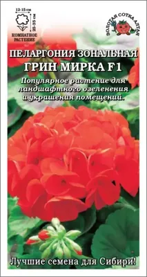 Пеларгония Ярка (семена,цветы) | ⚡ Бесплатная доставка завтра | AliExpress