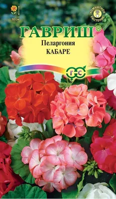 Пеларгония Грандифлора / Герань крупноцветковая, королевская в Москве по  доступным ценам. Заказать.