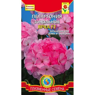 Купить семена: Пеларгония зональная Ярка F1 - цены,фото,отзывы |  Green-Club.com.ua