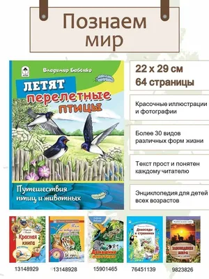 Обучающие карточки. ЕП. Перелетные птицы 0+ 220881 Леда - купить оптом от  42,28 рублей | Урал Тойз