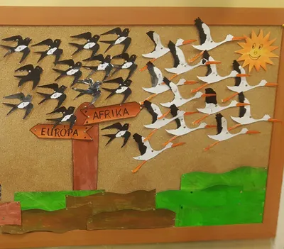 Работа — Перелетные птицы Югры, автор Валиева Сабрина Мирзошарифовна