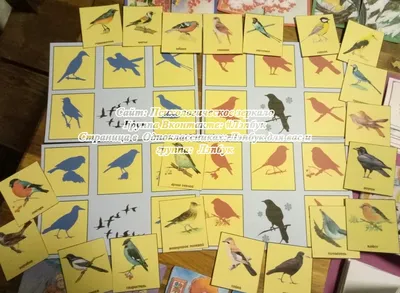 Набор плакатов \"Перелетные птицы\" купить за 195 рублей - Podarki-Market