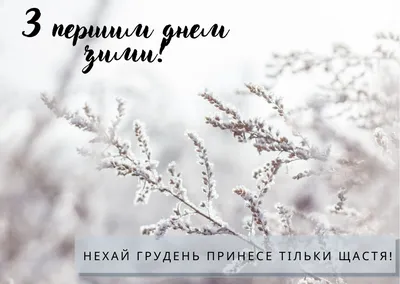 С первым днем зимы! Открытки, поздравления и пожелания 1 декабря