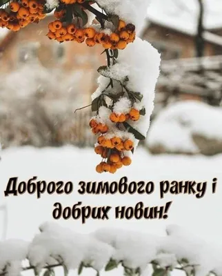 Друзі! Вітаємо з першим днем зими! - 1 Грудня 2022 - Чернігівський  музей-заповідник Михайла Коцюбинського