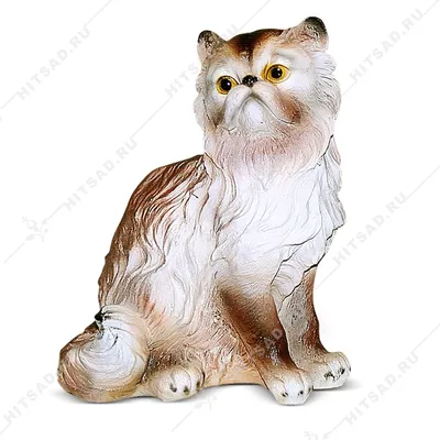Персидская кошка (фото): животное артистической богемы Смотри больше  http://kot-pes.com/persidskaya-koshka-foto-zhivotnoe-artisticheskoj-bogemy/