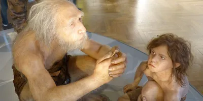 Когда появились первые люди - древнейшие останки Homo sapiens оказались  старше, чем считалось - ZN.ua