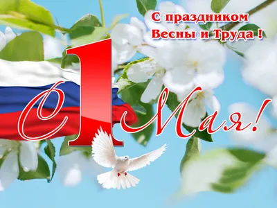 Россия Рабочий день 1 мая надписи и цветы PNG , Россия, День Труда, 1 мая  PNG картинки и пнг рисунок для бесплатной загрузки
