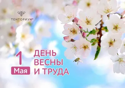 1 мая в Беларуси отмечается Праздник труда