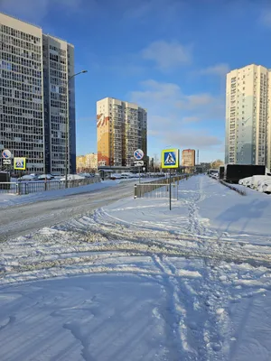 Первое утро нового года | Пикабу