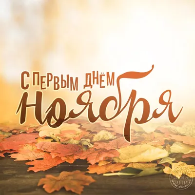 С первым днём ноября! - Скачайте на Davno.ru