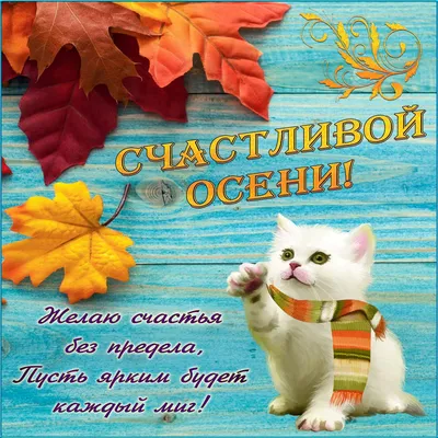 Школьные библиотекари города Минска: 11 января принято дарить маленькие  открытки с надписью «Спасибо», при этом произнося это слово вслух.
