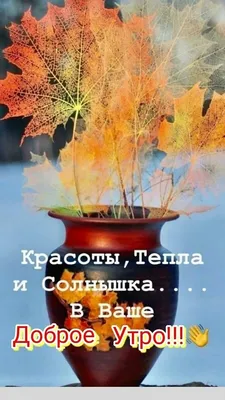 ПРИВЕТСТВИЯ и ПОЖЕЛАНИЯ, открытки на каждый день. опубликовал пост от 1  ноября 2021 в 07:22 | Фотострана | Пост №2390705657