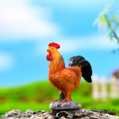Почему жену петуха зовут курица? | ЛИТИНТЕРЕС | Дзен