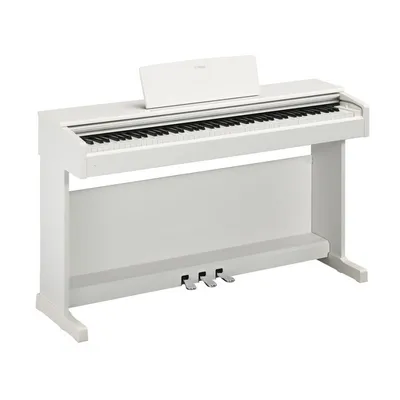 Цифровое пианино Artesia DP-3+ PVC RSW – купить в рассрочку без переплат, с  гарантией и доставкой по Казахстану | Первый музыкальный - интернет магазин