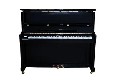 Пианино «Мелодия\", модель 120 Acoustic Tech — купить по выгодной цене от  производителя 🎹