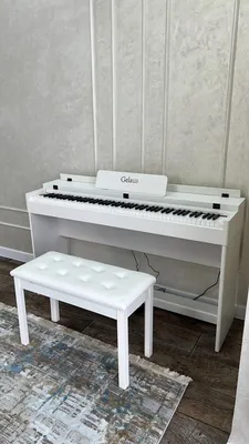 Цифровое пианино клавиши . 88: 550 USD ➤ Пианино, фортепиано | Бишкек |  71469199 ᐈ lalafo.kg