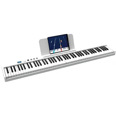 88 клавиш полноразмерное цифровое пианино + подставка для фортепиано,черный  матовый - купить с доставкой по выгодным ценам в интернет-магазине OZON  (1041148967)