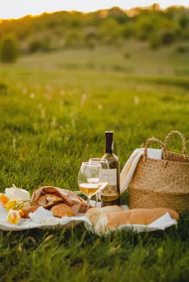 Как организовать красивый пикник на природе: 5 простых советов | myDecor