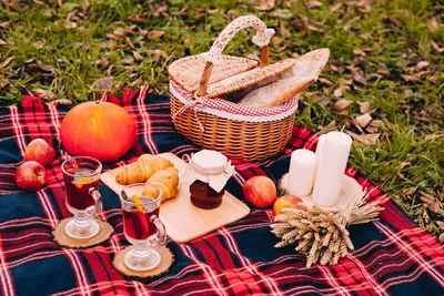 Собираемся на осенний пикник: полезные советы для удачного отдыха - Вкусно  24