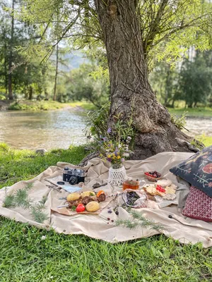 Пикник возле реки / picnic along the river | Винтажный пикник, Пикник,  Летний пикник