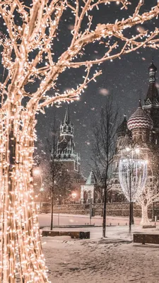 зима#2022 | Зимние картинки, Фоновые рисунки, Фиолетовые ковры