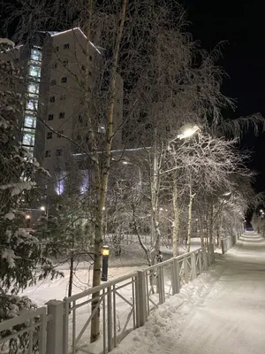 Winter ❄️ | Зима