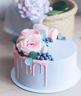Торты Спб, МурлыкаCake🐱🎂 (@murlyka_cake) • Фото и видео в Instagram |  Funny birthday cakes, Crazy cakes, Cute birthday cakes