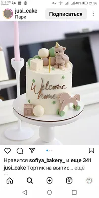 Десертная|Торты|Cakes в Instagram: «Моя идеальная шоколадка 🤎 Дайте оценку  торту от 1-10 👇🏻 Самый популярный декор торта для … | Desserts, Cake,  Birthday cake