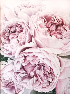 Пионовидные розы Джульетта с эвкалиптом и сухоцветами - купить в Москве |  Flowerna