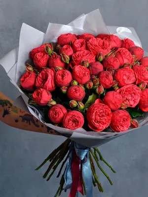 1️⃣ Пионовидные розы Джульетта Алматы | Лучшие цены в Pro-buket