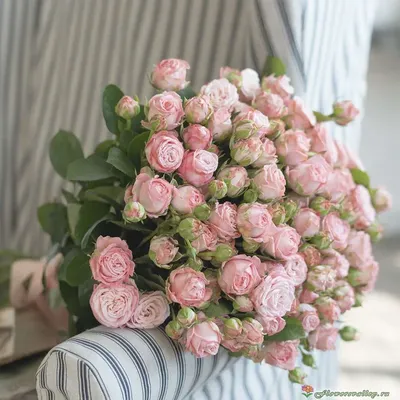 Кустовые пионовидные розы 15 шт купить в Саратове недорого