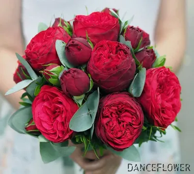 Сборный букет пионовидные розы и гортензии 1 шт. купить с доставкой в  Москве. Цена от 5950 ₽