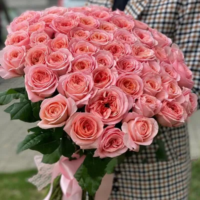 Soft - букет пионовидные розы СПБ - Sever Flowers