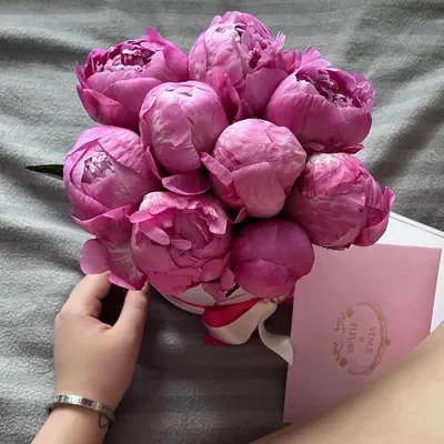 Пионы: микс из белых и розовых пионов с листьями эвкалипта по цене 13469 ₽  - купить в RoseMarkt с доставкой по Санкт-Петербургу
